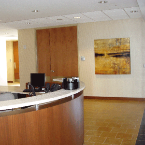 Commercial Art Installation Services